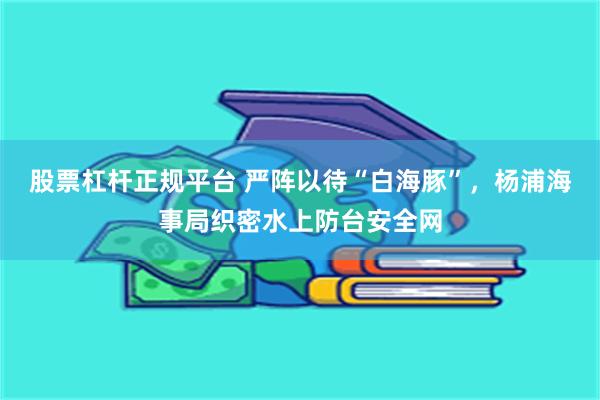股票杠杆正规平台 严阵以待“白海豚”，杨浦海事局织密水上防台安全网
