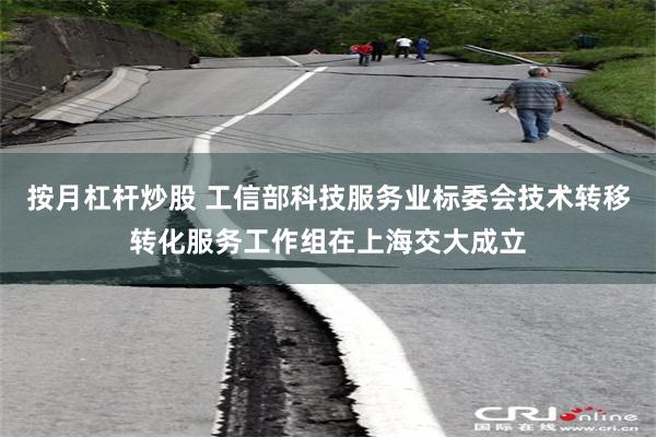 按月杠杆炒股 工信部科技服务业标委会技术转移转化服务工作组在上海交大成立