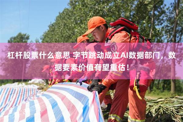 杠杆股票什么意思 字节跳动成立AI数据部门，数据要素价值有望重估！