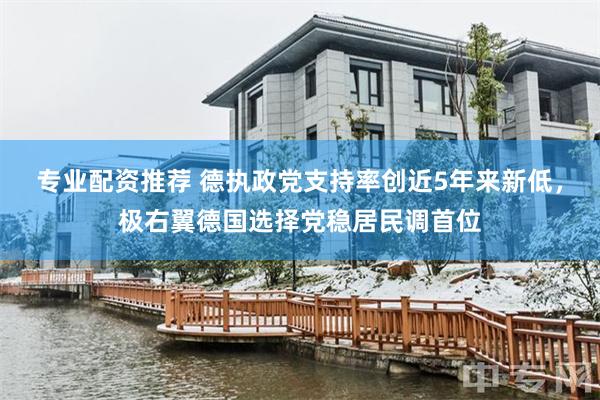 专业配资推荐 德执政党支持率创近5年来新低，极右翼德国选择党稳居民调首位