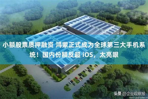 小额股票质押融资 鸿蒙正式成为全球第三大手机系统！国内份额反超 iOS，太亮眼