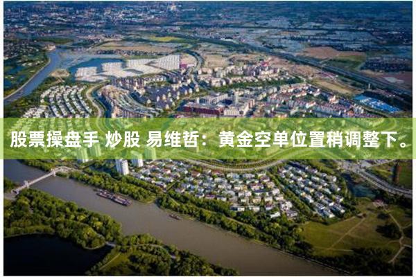 股票操盘手 炒股 易维哲：黄金空单位置稍调整下。