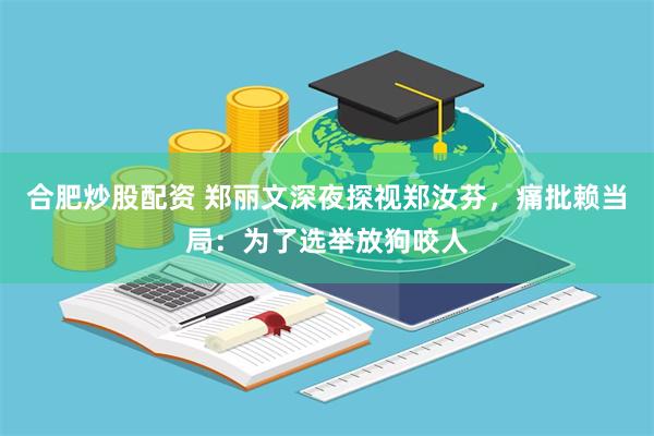 合肥炒股配资 郑丽文深夜探视郑汝芬，痛批赖当局：为了选举放狗咬人