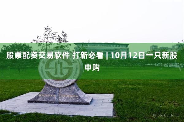 股票配资交易软件 打新必看 | 10月12日一只新股申购